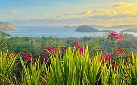 Lobster Bay Lombok